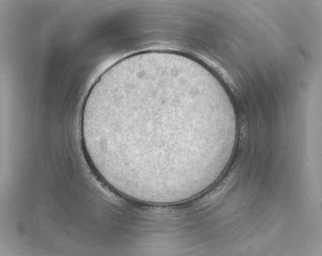 X0000114631375200911171000