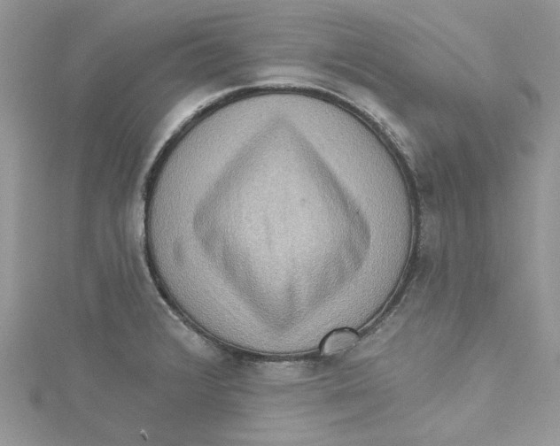 X0000114631376200911171000