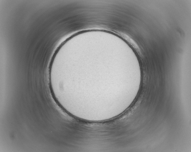 X0000114631380200911171000