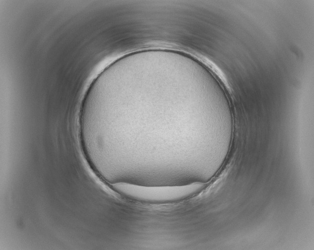 X0000114631381200911171000