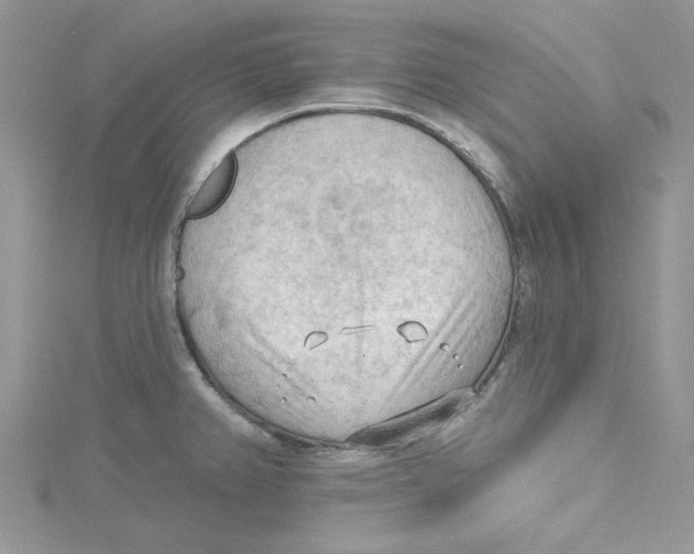 X0000114631382200911171000