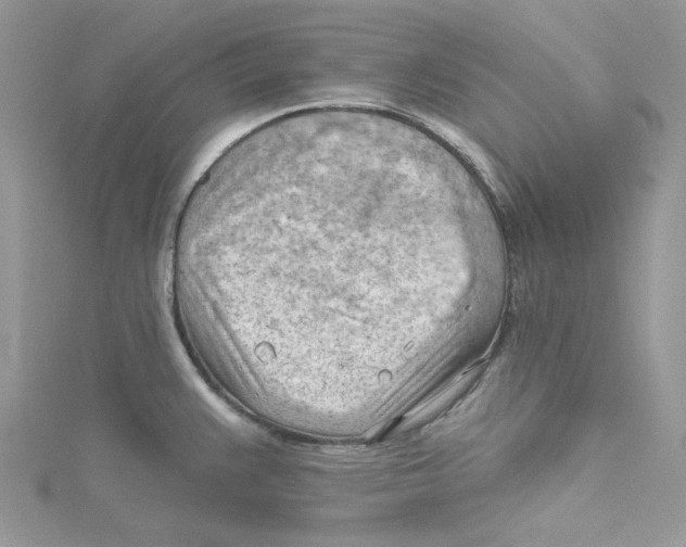 X0000114631383200911171000