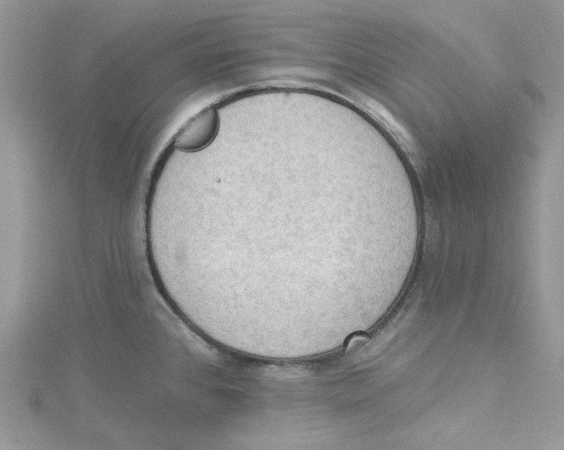 X0000114631384200911171000