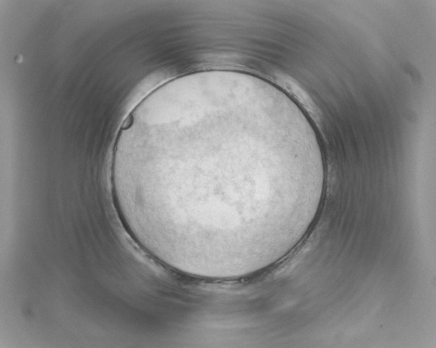 X0000114631386200911171000