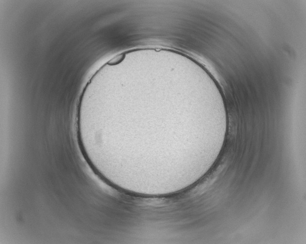 X0000114631387200911171000