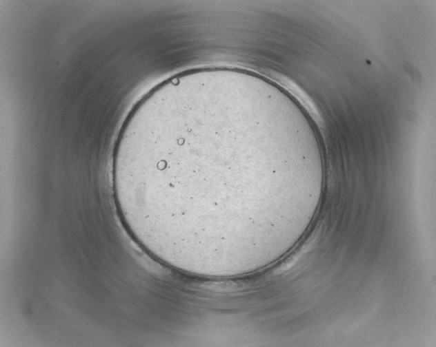 X0000114631388200911171000