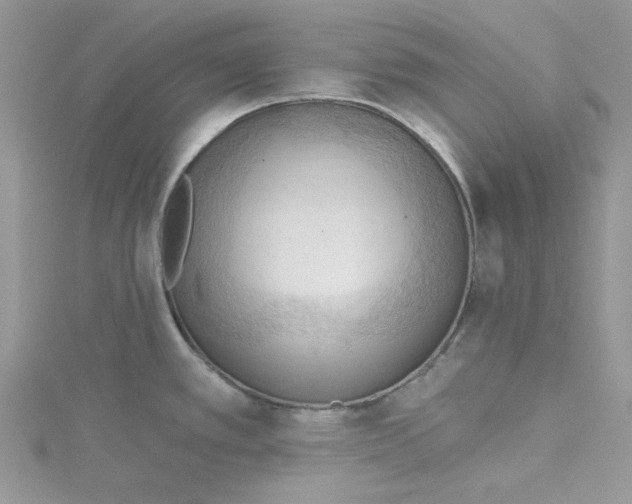 X0000114631389200911171000