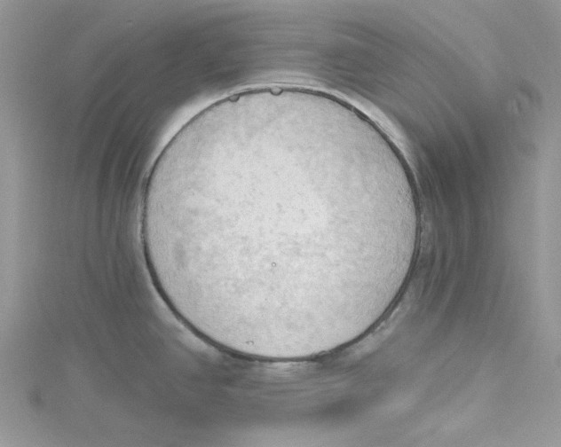 X0000114631390200911171000