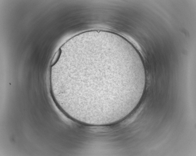 X0000114631391200911171000