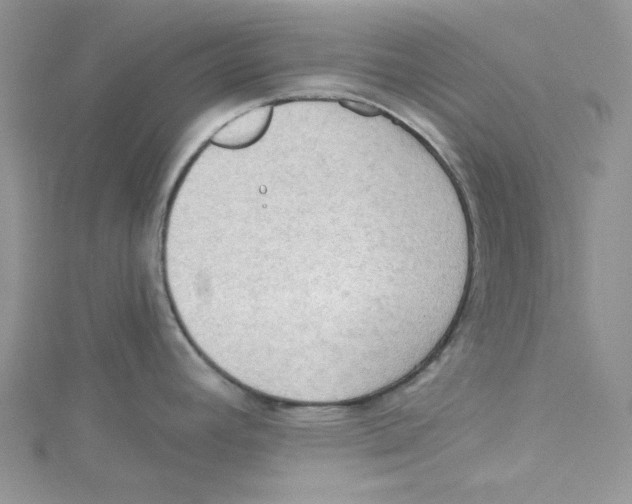 X0000114631392200911171000