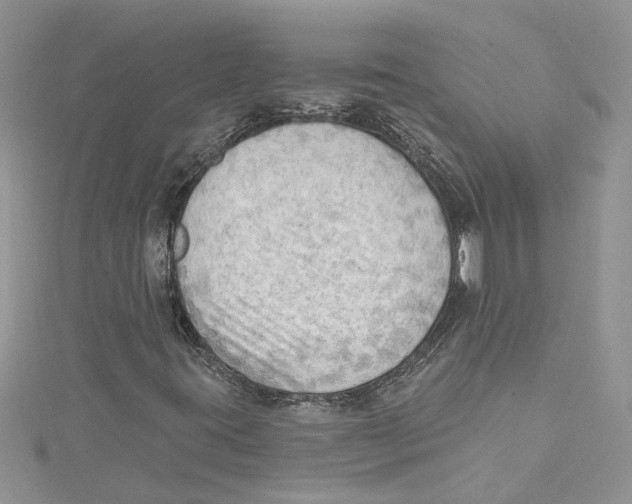 X0000114631395200911170959