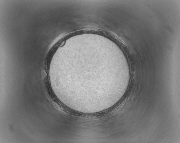 X0000114631400200911171000