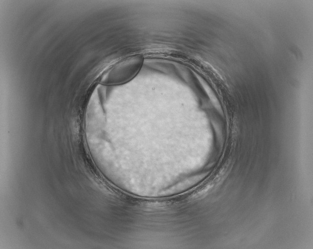 X0000114631401200911171000