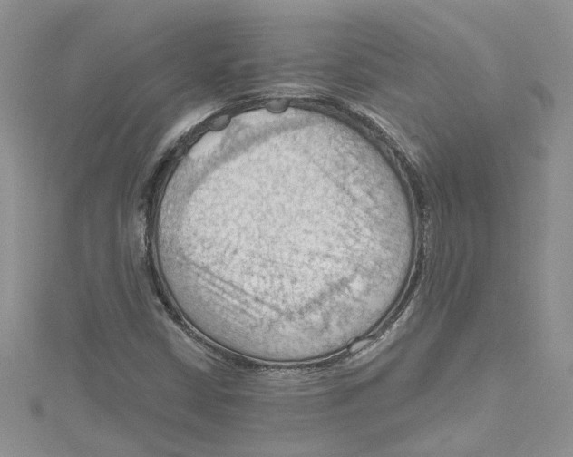 X0000114631402200911171000