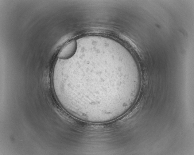 X0000114631403200911171000