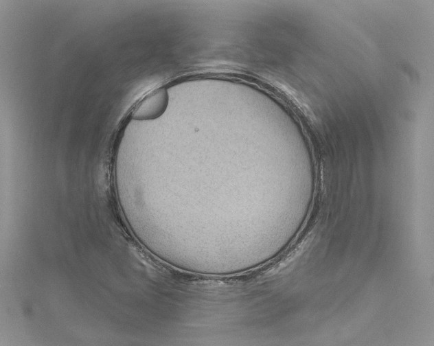 X0000114631405200911171000