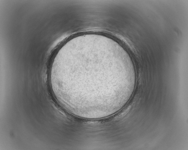 X0000114631406200911171000