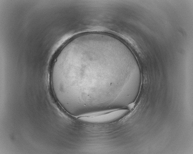 X0000114631414200911171000