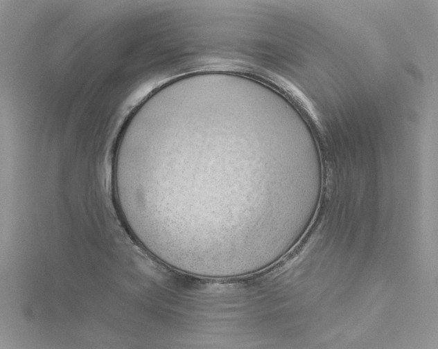 X0000114631419200911171000