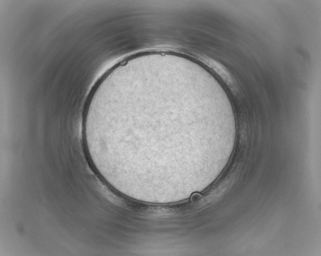 X0000114631420200911171000