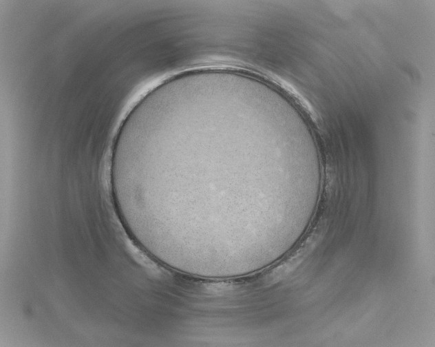 X0000114631421200911171000