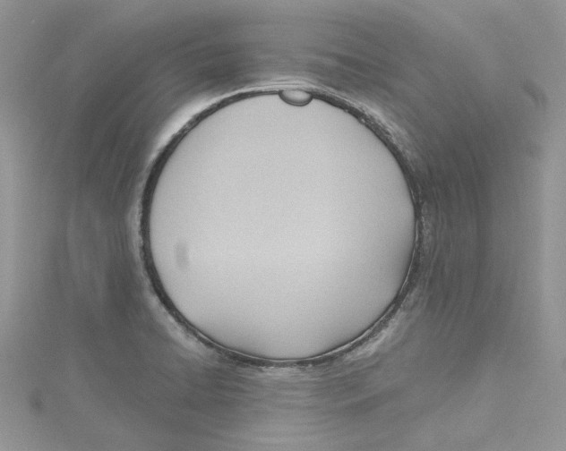 X0000114631422200911171000