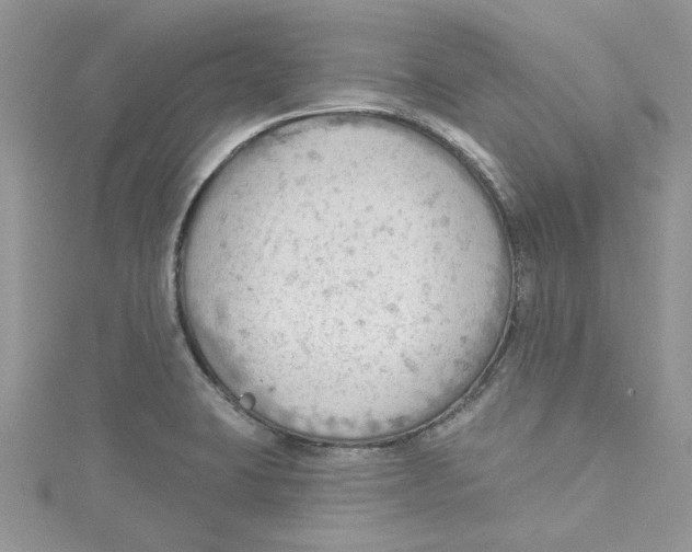 X0000114631423200911171000