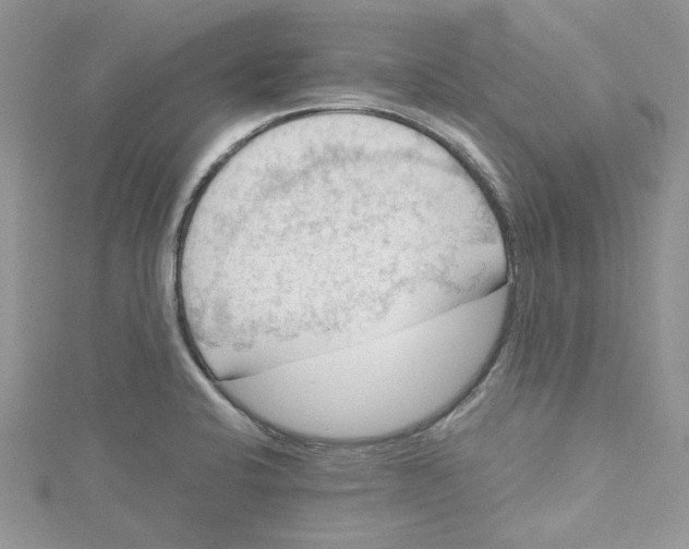 X0000114631424200911171000