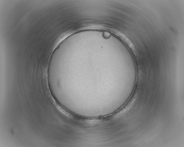 X0000114631425200911171000