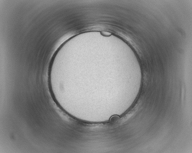 X0000114631426200911171000