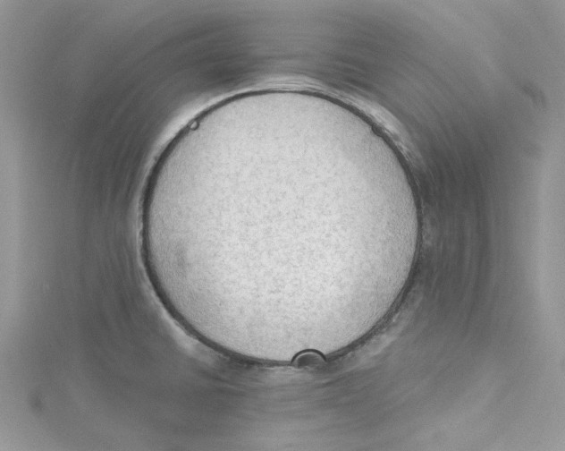 X0000114631430200911171000