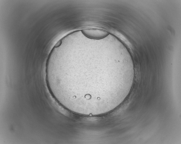 X0000114631431200911171000