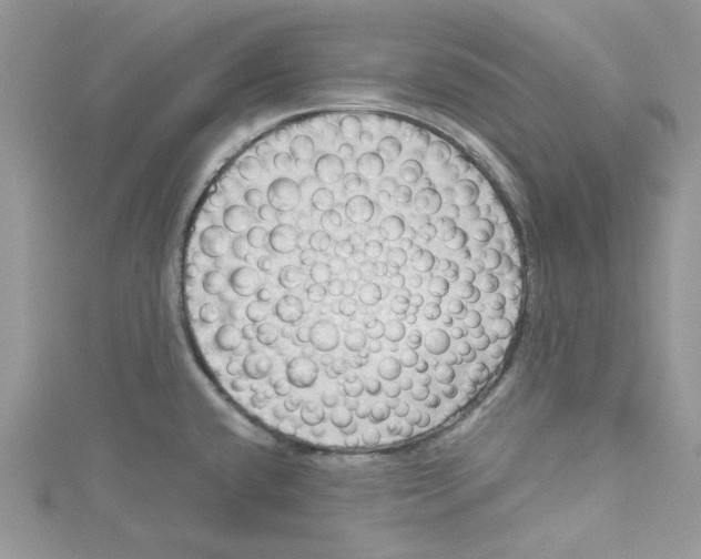 X0000114631432200911171000