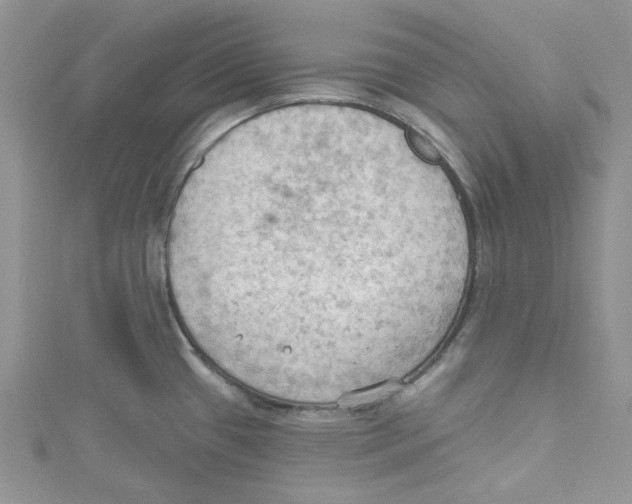 X0000114631433200911171000