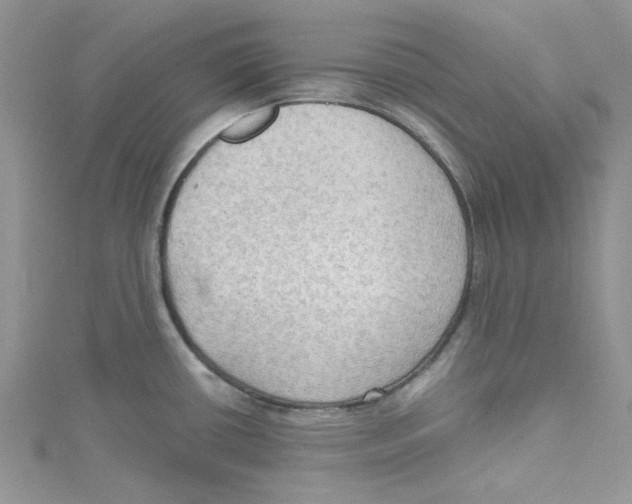 X0000114631434200911171000