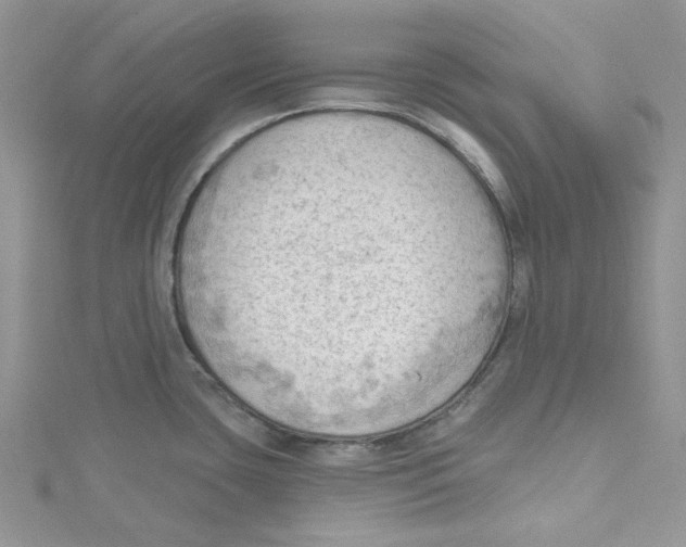 X0000114631435200911171000