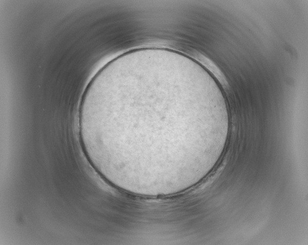 X0000114631436200911171000