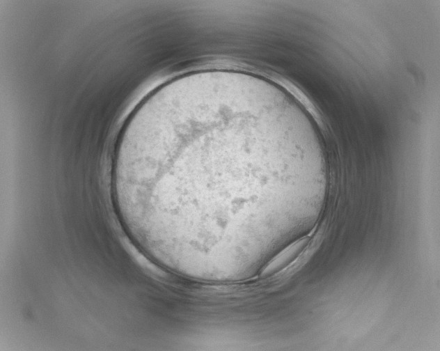 X0000114631438200911171000