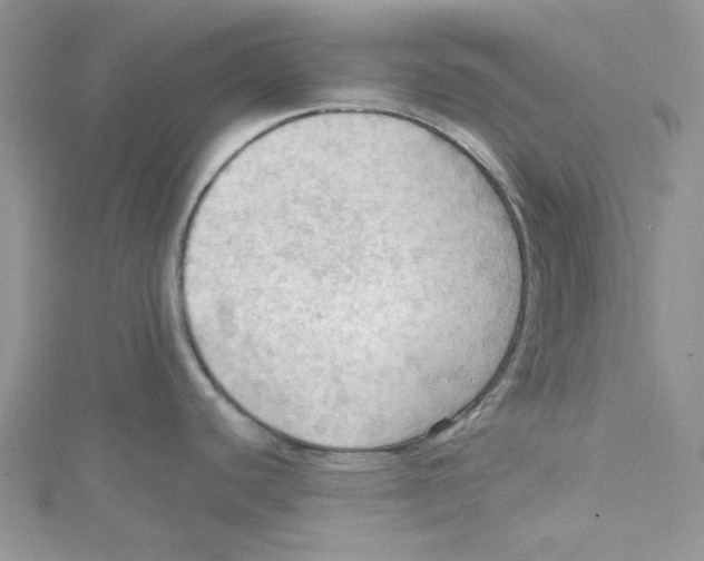 X0000114631440200911171000