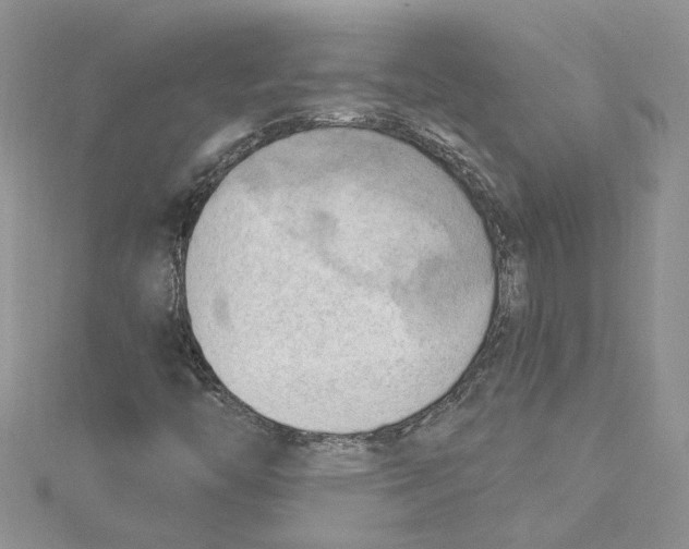 X0000114631446200911170959