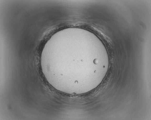 X0000114631447200911170959