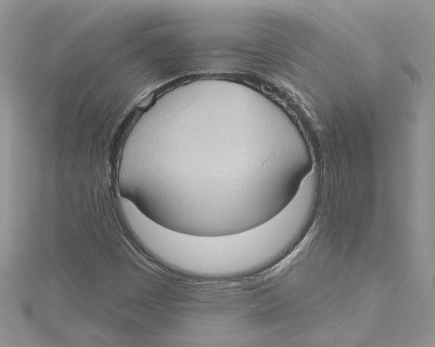 X0000114631449200911170959