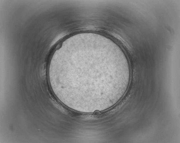 X0000114631450200911170959