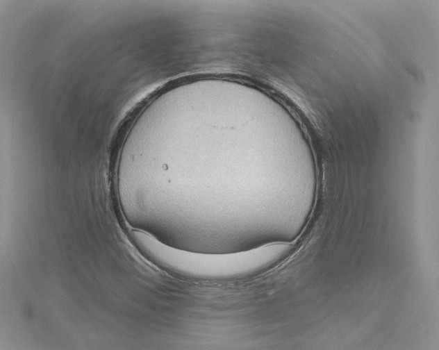 X0000114631452200911170959