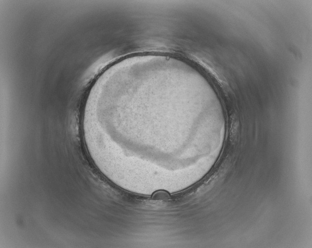 X0000114631455200911170959