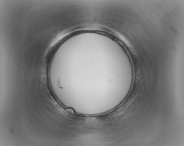 X0000114631456200911170959