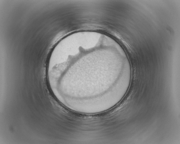 X0000114631459200911170959