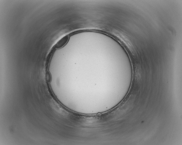 X0000114631460200911170959