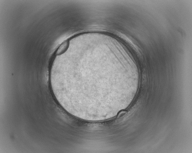 X0000114631461200911170959