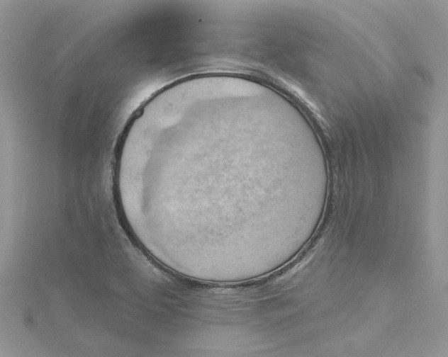 X0000114631463200911170959